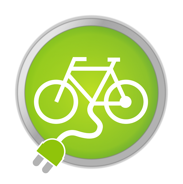 EBike logo by Georg Hirmer